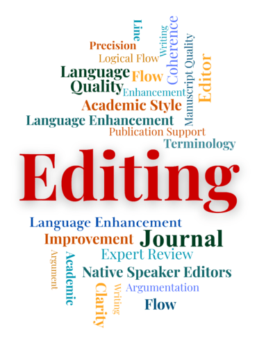 Akademik Editing